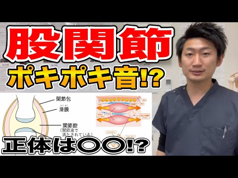 【解説】股関節やその他関節がポキポキ音が鳴っている方は見て下さい【#ハリボディTV】