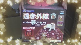 猫用のコタツ夢こたつを購入したら猫が喜んだ