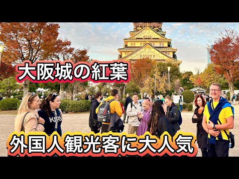 紅葉で外国人観光客が殺到する大阪城公園 2023 Osaka Castle