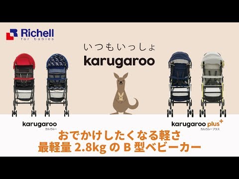 【生産終了】リッチェル　ベビー用品　カルガルーCT【リッチェル公式 ベビー用品】