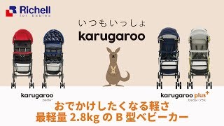 【生産終了】リッチェル　ベビー用品　カルガルーCT【リッチェル公式 ベビー用品】