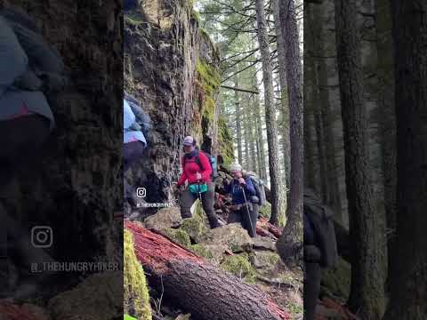 Hiking the Little Si Trail in Washington #shorts