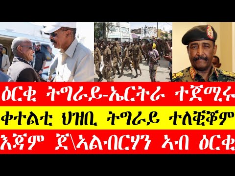 ዕርቂ ትግራይ-ኤርትራ ብዕሊ ተጀሚሩ፣ቀተልቲ ህዝቢ ትግራይ ተለቒቖም፣እጃም ጀ\ኣልብርሃን ኣብ ዕርቂ Mar23,2024 #tigray #eritrea #tigrinya