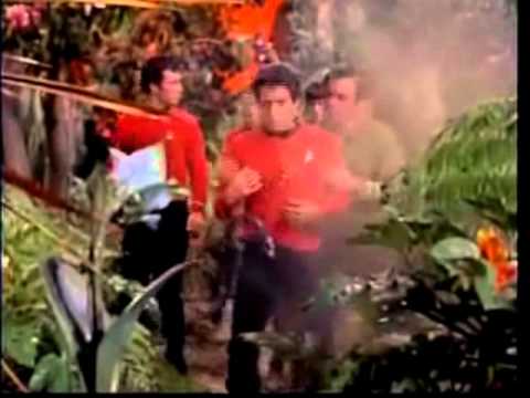 Lament of the Redshirt