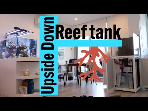 Turning my Brand new CADE Tank into an Upside Down Reef Aquarium!