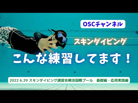 スキンダイビング・こんな練習やってます！OSCスキンダイビング講習会・基礎編・応用実践編！横浜国際プールのダイビングプール（水深5メートル）