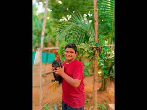 Tuesday special #spe#chicken #viral #teluguvlogs