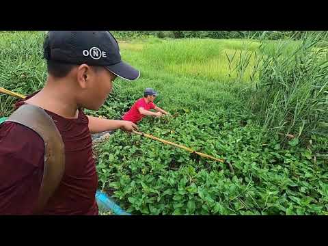 catching fish on a rainy day