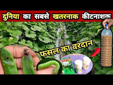 kitnashak dava | insecticide | Kitnashak | spinetoram 11.7 sc insecticide |