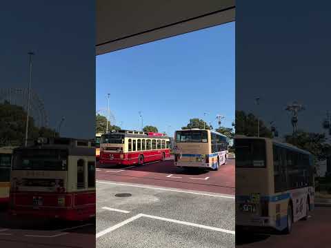 Bus terminal, Sakuragicho station