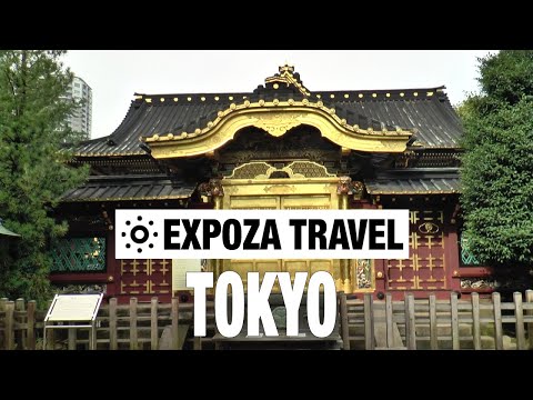 Tokyo (Japan) Vacation Travel Video Guide