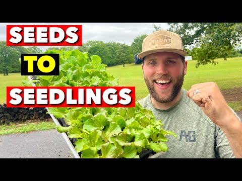 I’VE BEEN STARTING SEEDS LIKE THIS FOR 6 YEARS. HERE’S HOW I DO IT