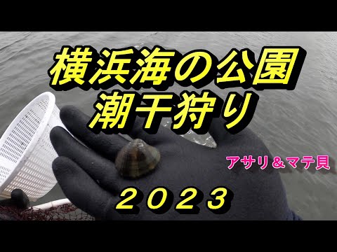 横浜海の公園潮干狩り 2023