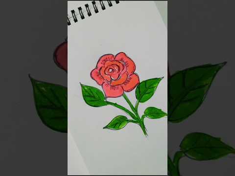 Beautiful Rose Drawing Art | #shorts #shortfeed