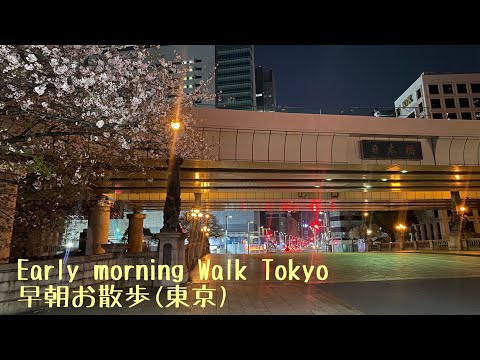 Early morning walk (Tokyo). 早朝お散歩 (東京)。