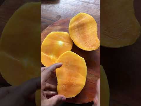 Mango Mango