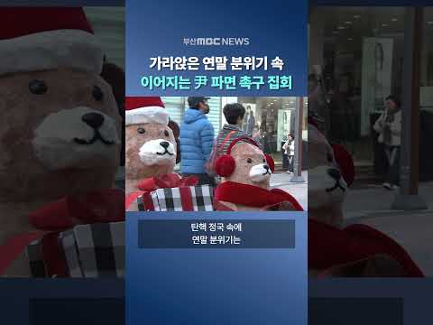 탄핵안 가결 후 첫 주말.. 탄핵 정국 속 연말