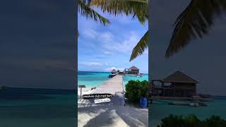 Morning Vibes Club med Kani Maldives