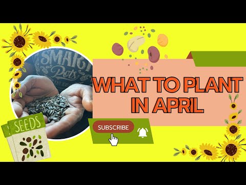 Don't Wait! Plant These 26 Seeds Right Now In April