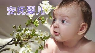 5个如何快速安抚新生儿宝宝的方法|育儿技巧Parenting Tips：Comfort Your Baby