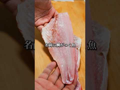 顔がノドグロなのに名前に「鯛」がつく魚