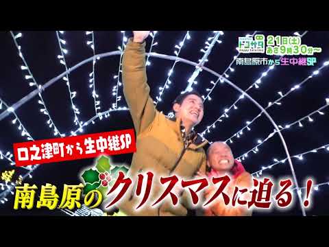 【12月21日(土）あさ9時30分トコサタPR 】 クリスマスSP！南島原市口之津町から生放送！イルカはいるか！？船の上から生捜索