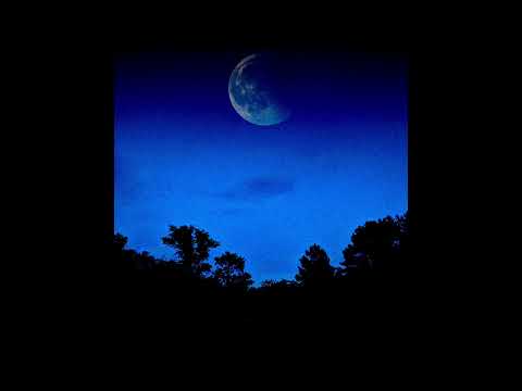 Arizona Records - moonlight. (Official Audio)