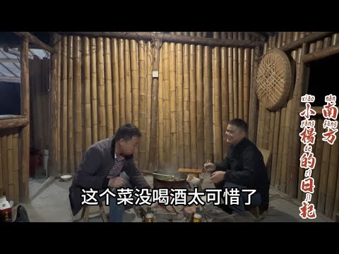 朋友来了，拿出山上采的野山菌招待，再一人一瓶啤酒美滋滋【南方小杨】