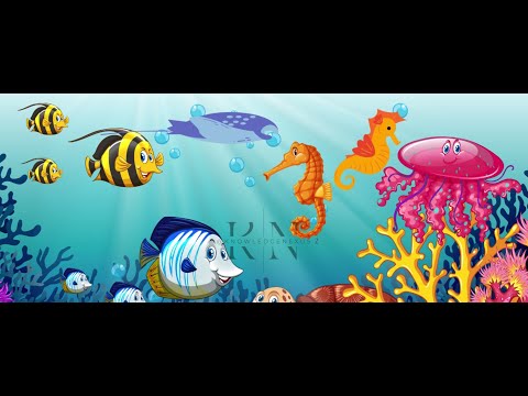 ocean animals. "Dive into the Deep: Amazing Facts About Ocean Animals"