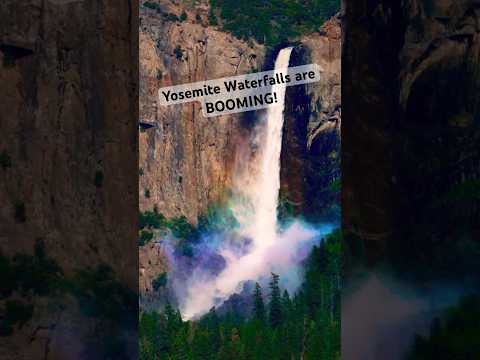 Yosemite’s waterfalls have come ALIVE! #yosemite #waterfall #california #travel #hiking #nature #yt