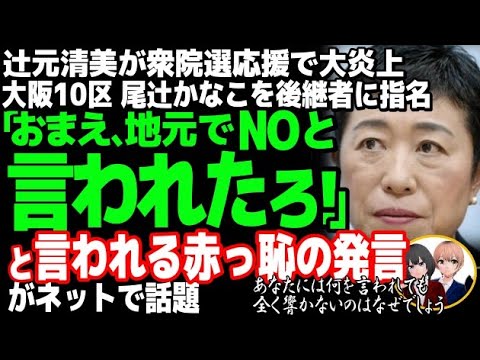 立憲民主党の辻元清美が勘違い発言で赤っ恥→大炎上w大阪10区で尾辻かな子氏の応援演説もブーメラン直撃で大ピンチ・・・