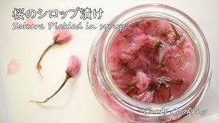 Sakura(Cherry Blossoms)Pickled in syrup Recipe｜Coris cooking