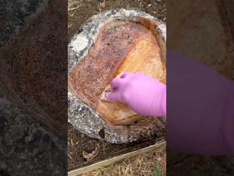 BIRD BATH TRANSFORMATION USING THE PINK STUFF PASTE #thepinkstuff #asmrcleaning #asmrscrubbing