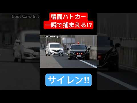 一瞬で捕まえる覆面パトカー⁉️ サイレン‼️  #shorts