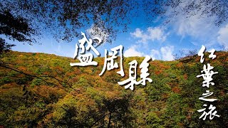 日本東北紅葉の旅 #03 ~ 盛岡