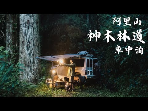 阿里山神木林道露營車中泊 I 燉蕃茄牛肉懶人料理 I Jimny Vitara 4x4 suzuki