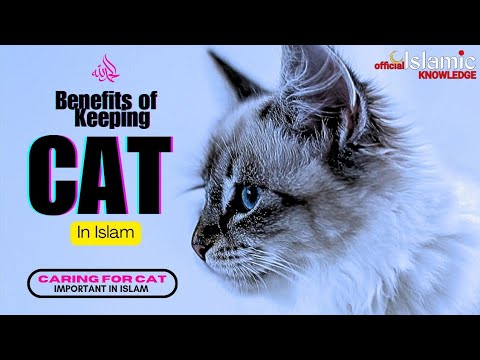 WHY PROPHET MUHAMMAD ﷺ LOVED CAT? | 7 BENEFITS OF KEEPING CATS | Islamic Knowledge Official