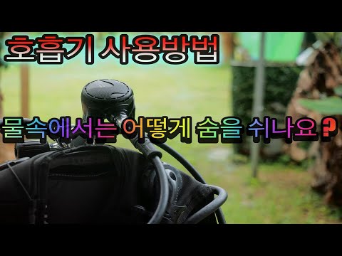 [오키나와 다이빙]  다이빙 장비 설명  "호흡기(레큘레이터)" 핑크머메이드