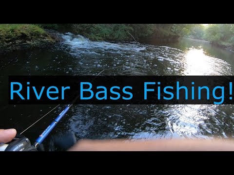 River Bass Fishing!