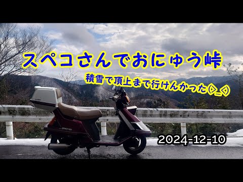 2024-12-10  スペコさん（スペイシー）でおにゅう峠！