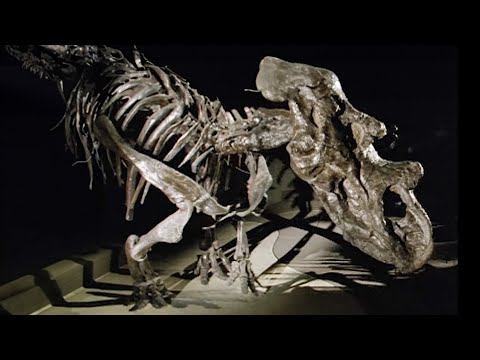 The Secrets of Giant Dinosaurs | Dinosaurs Inside & Out