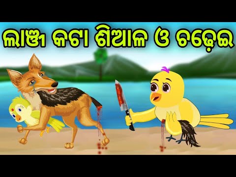 ଲାଞ୍ଜ କଟା ଶିଆଳ ଓ ଚଢ଼େଇ | Lanja Kata Siala O Chadhei | Tiki Chadhei | Odia Gapa | Chadhei Gapa