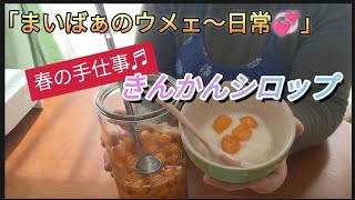 春の手仕事　きんかんシロップ