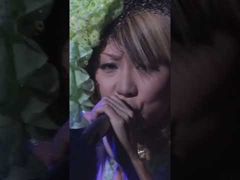 倖田來未❤️you「KODA KUMI LIVE TOUR 2006-2007 ～second session～」より❤️#倖田來未 #KODATOUR23 #shorts #shortvideo