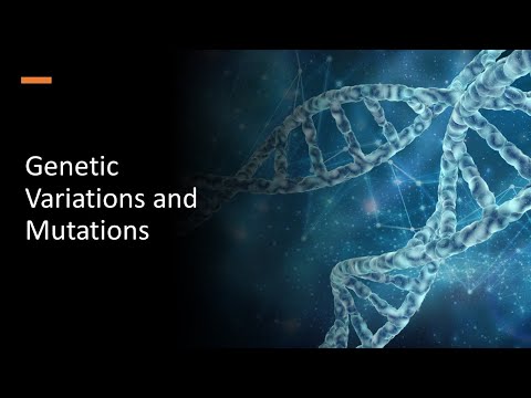 Genetic Variation and Mutation