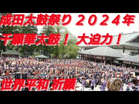 成田太鼓祭り２０２４年 千願華太鼓(せんがんはなだいこ)平和の祈り！およそ６００人で太鼓を打ちます大迫力でした！成田山大本堂前！４月２０日 千葉県成田市 チャンネル登録よろしくお願いいたします。