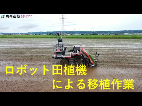 ロボット田植機による移植作業 AS30【農林総合研究所】