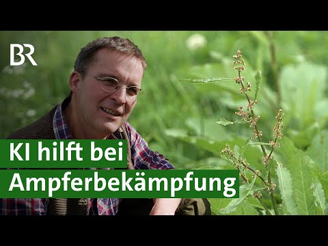 Unkraut bekämpfen ohne Chemie: Mit Roboter und KI im Grünland Ampfer bekämpfen | Unser Land | BR