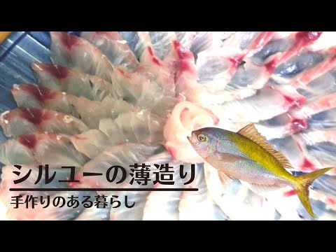 【泡瀬漁港・パヤオ直売店】沖縄の新鮮な魚で刺身盛り