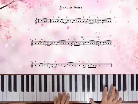 Sakura Tears ✿Easy Piano + sheet 🌸 樱花泪 ～ 简易钢琴 + 谱